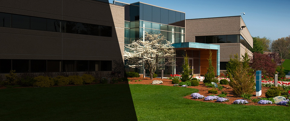 Bradenton Landscapers