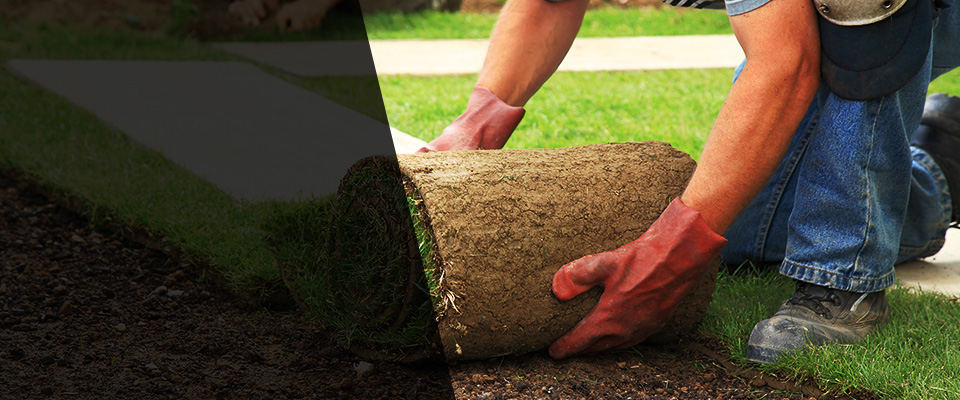 Bradenton Landscapers